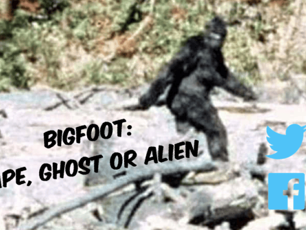 Bigfoot: Ape, Ghost or&nbsp;Alien
