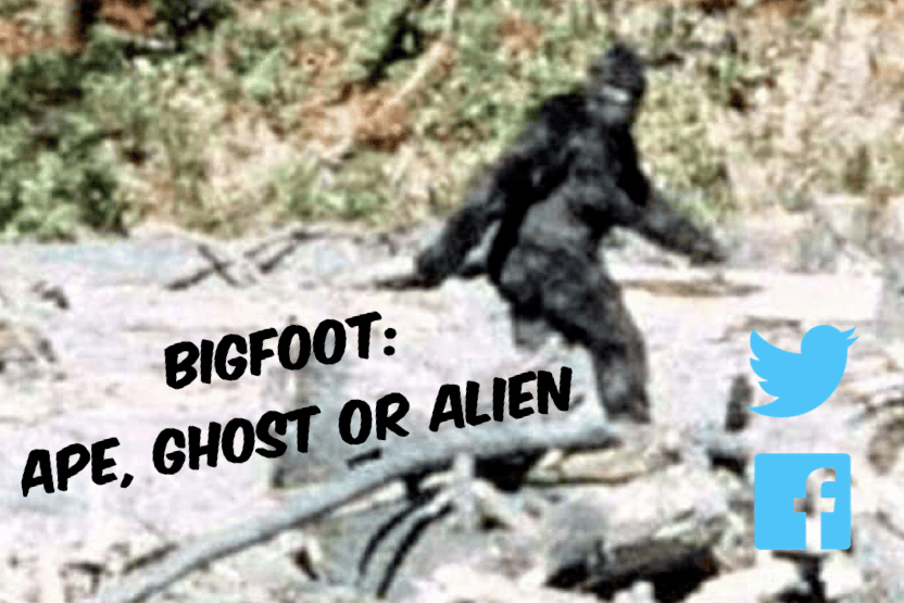 Bigfoot: Ape, Ghost or&nbsp;Alien