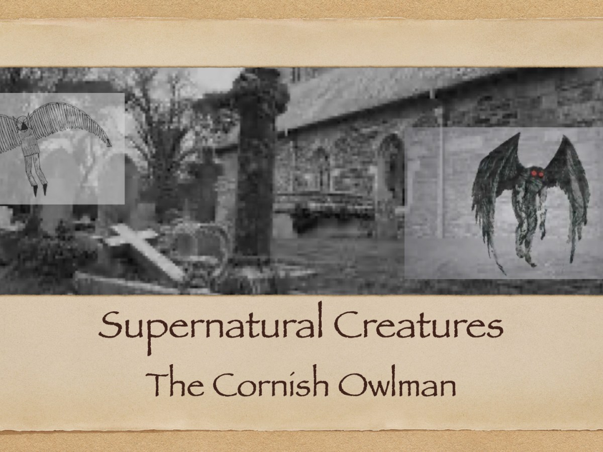 The Cornish Owlman